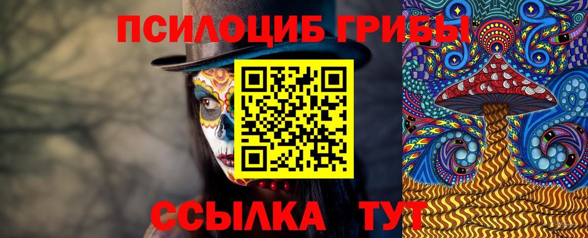 купить наркотик  Псилоцибиновые грибы мухоморы  Псилоцибиновые грибы Psilocybe  Вход с VPN  Звенигород 