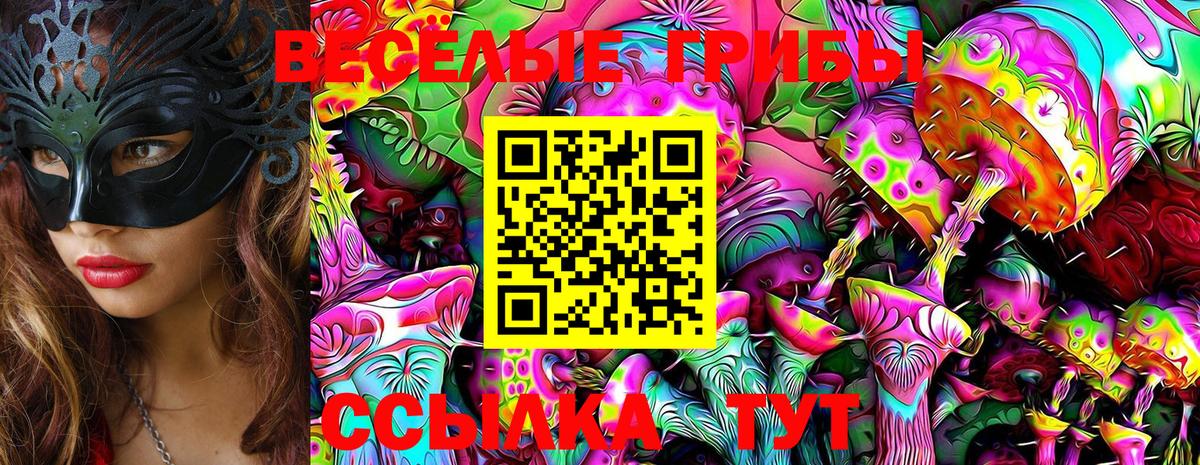 Псилоцибиновые грибы Cubensis Звенигород