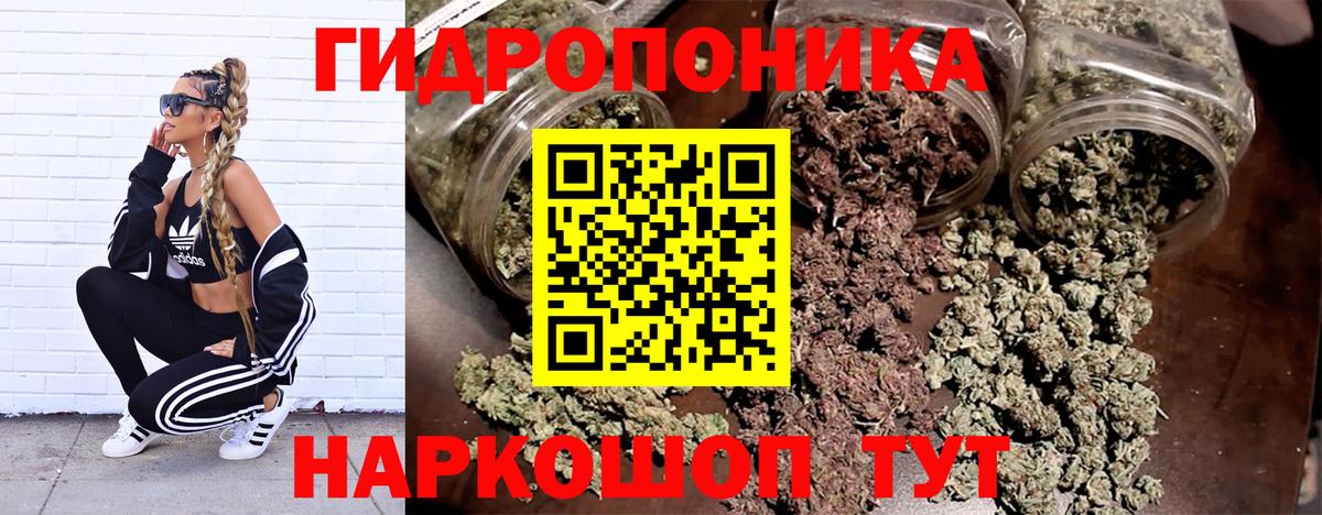 Шишки марихуана ГИДРОПОН Звенигород